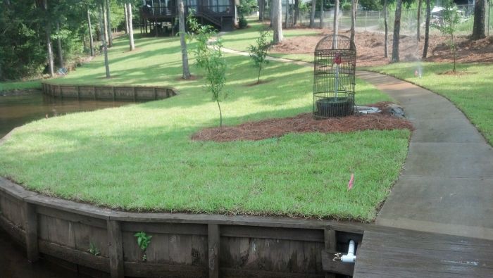 Lush garden bed with seasonal color plantings in Middle Georgia