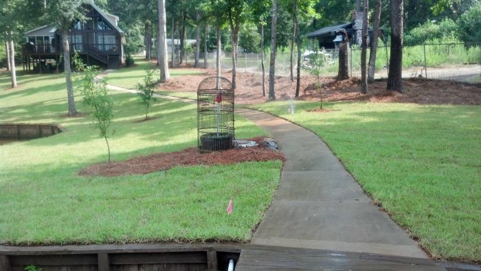 Commercial landscaping project completed by Harris & Company