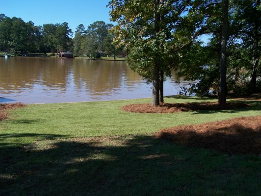 Landscape installation featuring native Georgia plants and shrubs