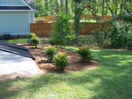 Detailed landscape work showing clean lines and professional edging along a Middle Georgia driveway